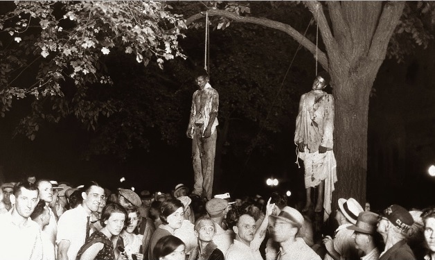 hanging from trees